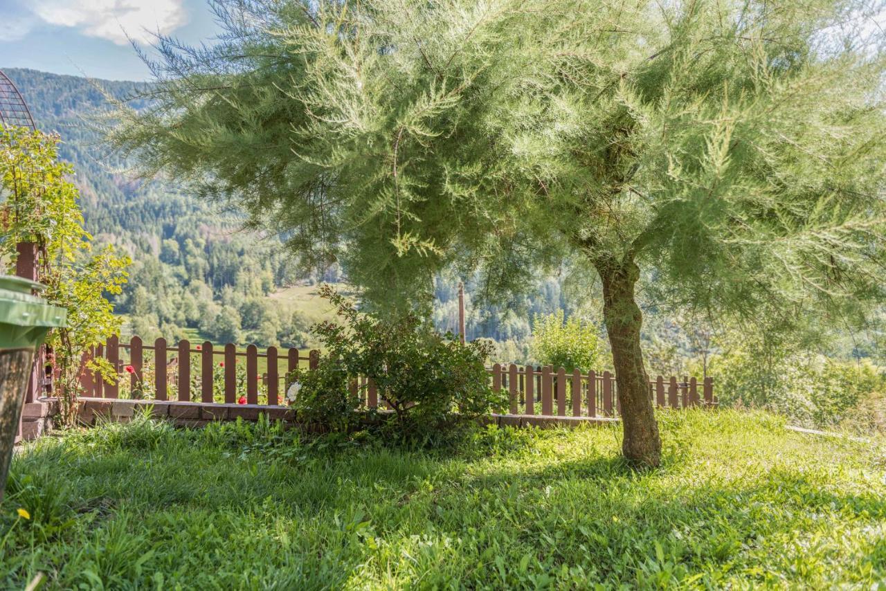 Appartamento Tra I Due Laghi Базельга-ди-Пине Экстерьер фото